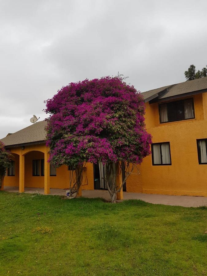 Casa Felice Hostal La Serena Exterior foto